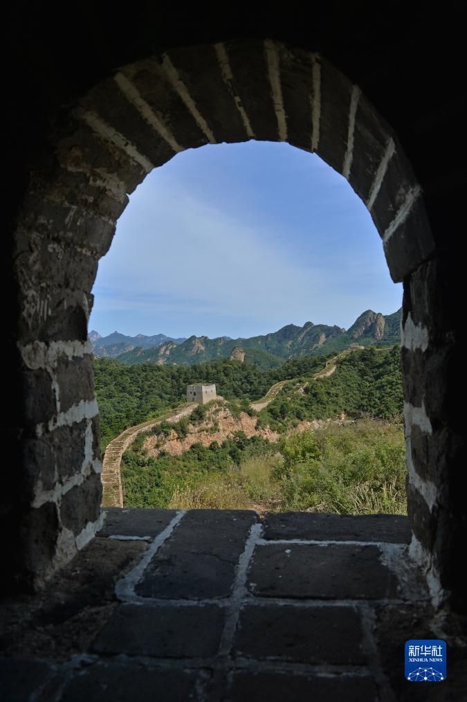 9号赌场下载